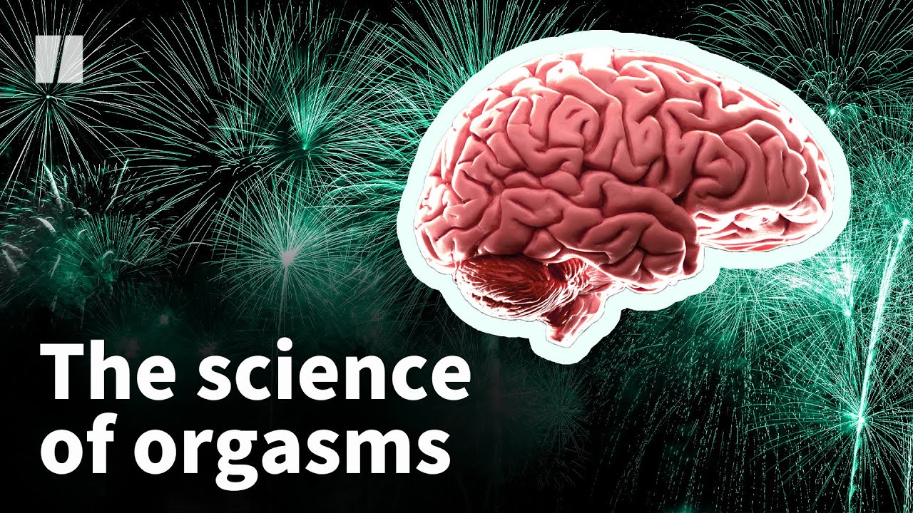 Effects of orgasm on the brain