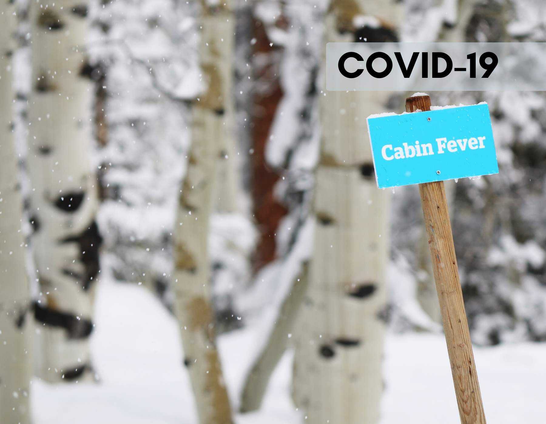 Covid-19 cabin fever graphic with snowy forest.
