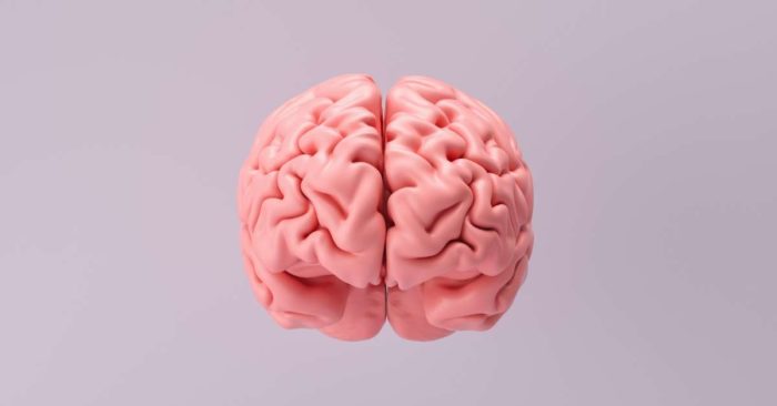 A pink model of a human brain on a pink background promoting anti-racist awareness.